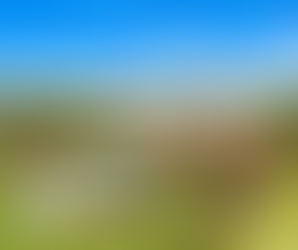 The Eastern Shore Real Estate Market July 2024 Market Report