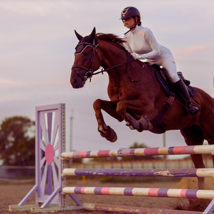 Specialized Equestrian Clinics in Maryland