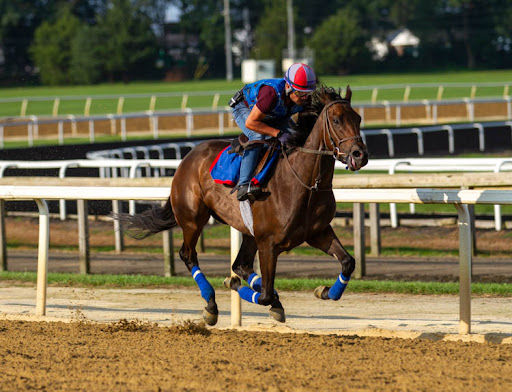 Specialized Equestrian Clinics in Maryland