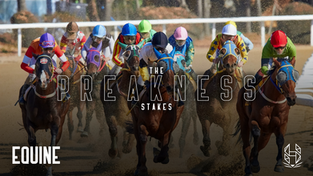 The Preakness Stakes: Maryland’s Premier Horse Racing Event