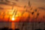 Chesapeake Beach | Annual 2025 Overall Market