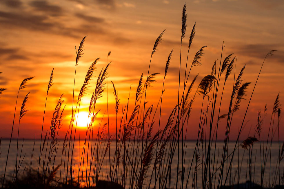 Fall Adventures Around Chesapeake Bay: Sailing, Trails, Oysters & More