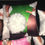 Thumbnail: PINK 12" 3D bunny tail pillow case &amp;  pillow LG