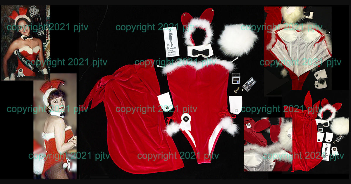 Santa Playboy Bunny Costume + accessories + sarong +