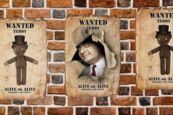 evirio, wanted, bean, teddy