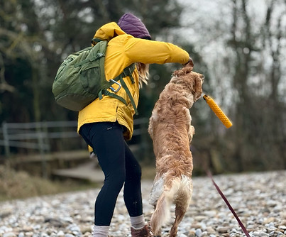 aca8b7f3-7834-414b-ad27-6472fb312dee.jfif