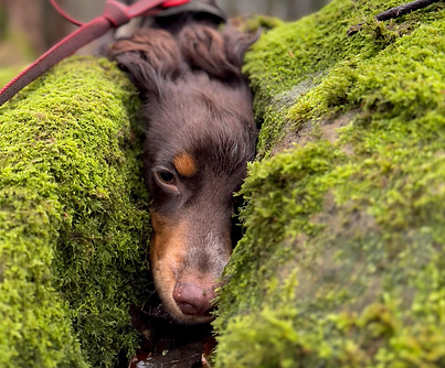 bd3642b1-53e9-42d5-9aa4-107a112a0a18.jfif