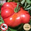 Miniature : Tomate Gregory Altai