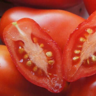 Thumbnail: Tomate Dix doigts de Naples