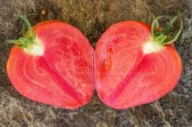 Miniature : graines tomate Coeur de Boeuf "Anna Russe"