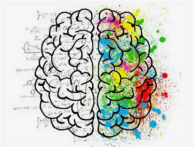 Cerebro Dibujo