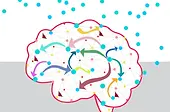 Autismo WP.webp