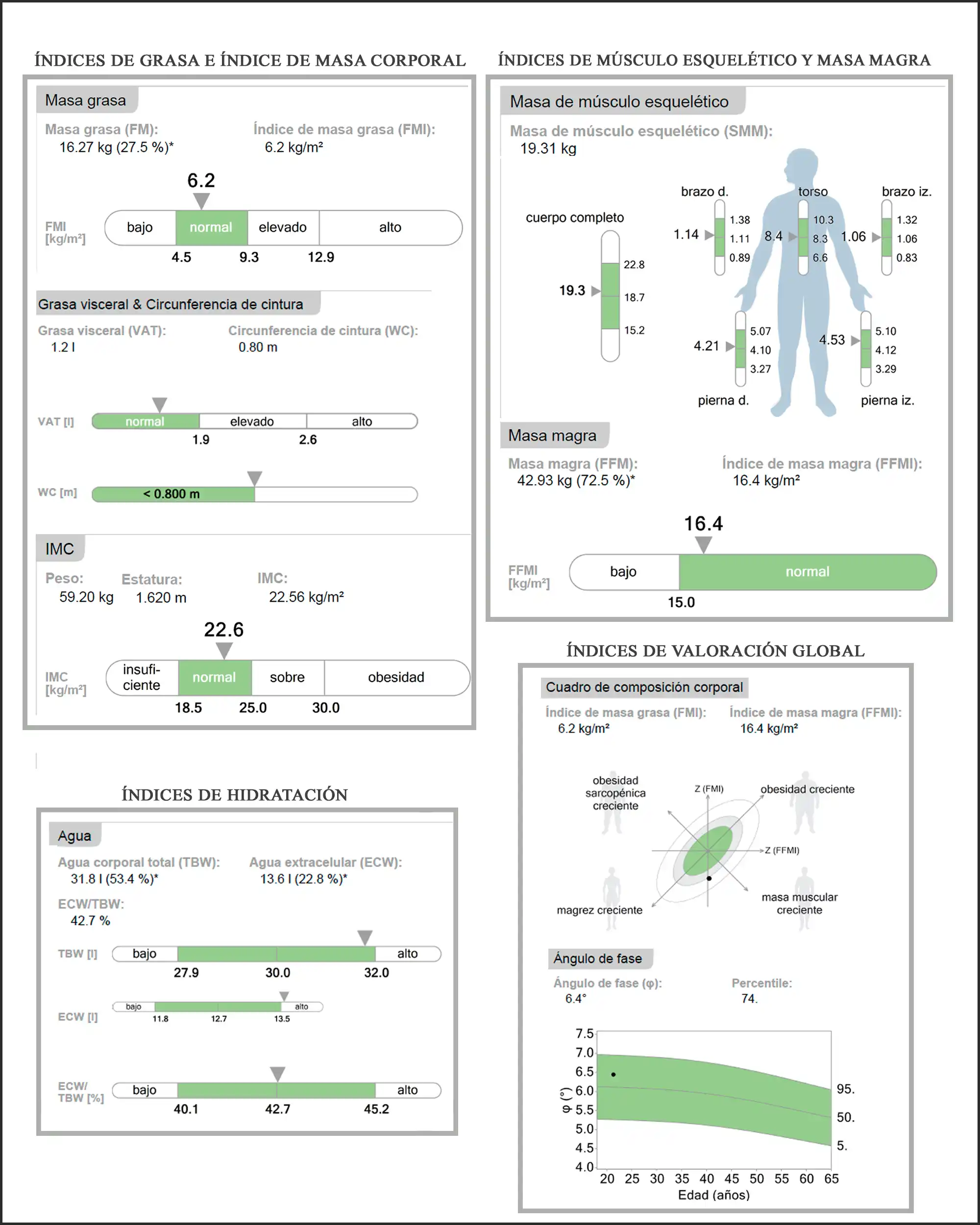 BIOIMPEDANCIA WP.webp