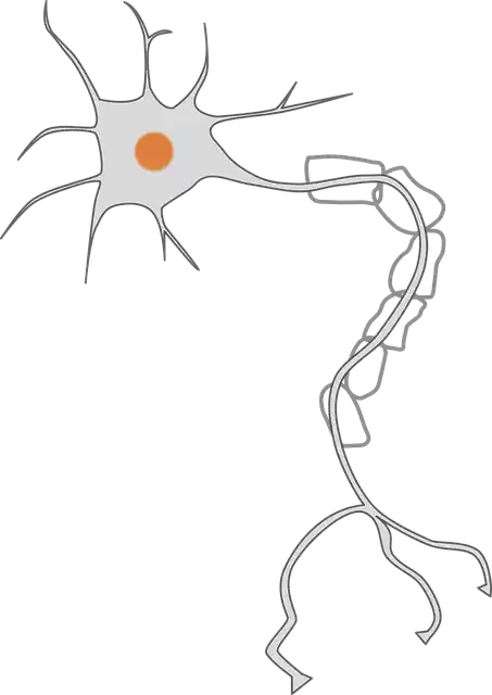 Neurona.