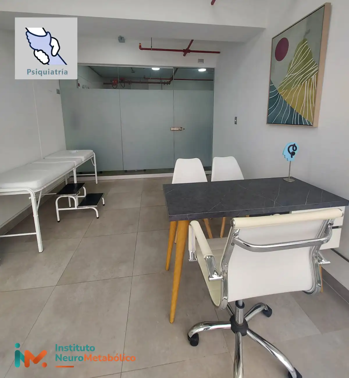 Consultorio de Psiquiatría del Instituto Neuro Metabólico - INM.