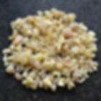 Thumbnail: Boswellia Carterii