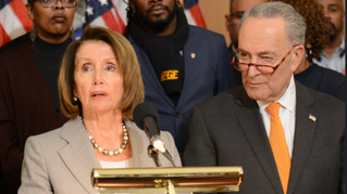 POLL: Democrat Approval Sinks to Jaw-Dropping New Low