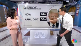 NBC POLL: Trump is UP and Dems are DOWN