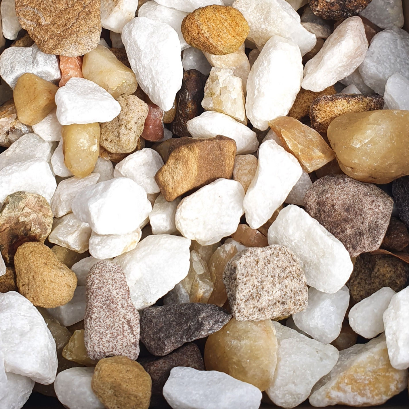 Tuscan Glow Chippings