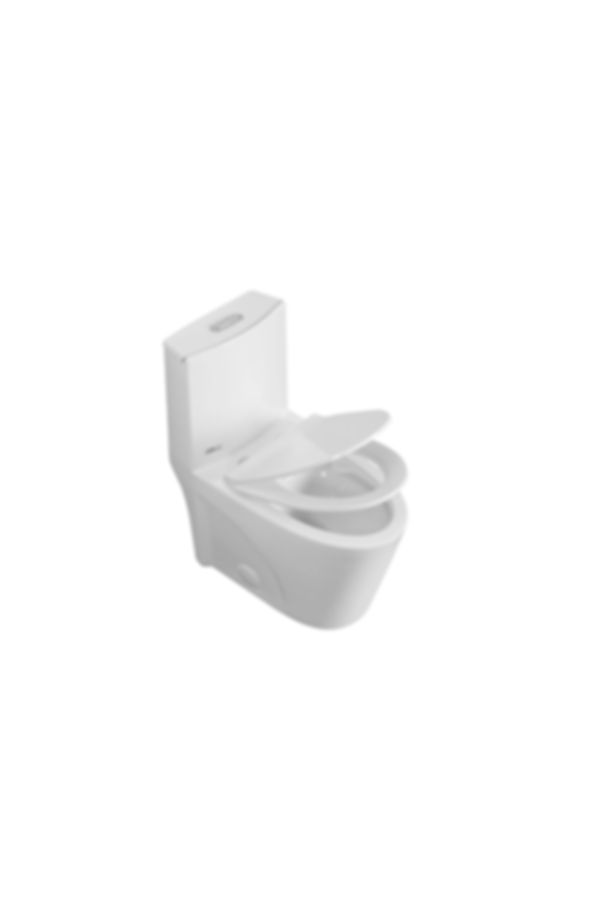 OnePiece Toilet