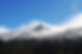 colima-2.webp