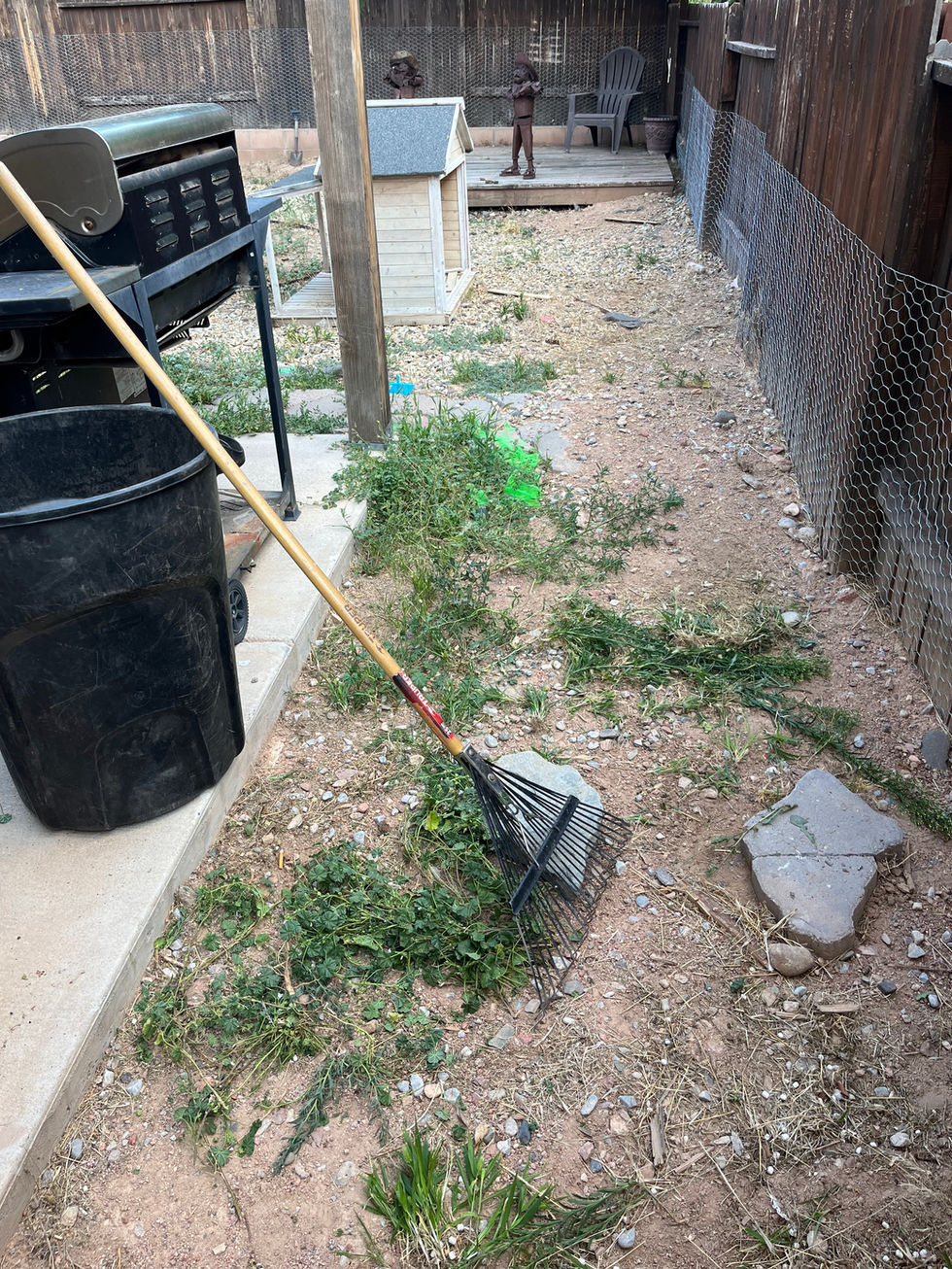 BEFORE