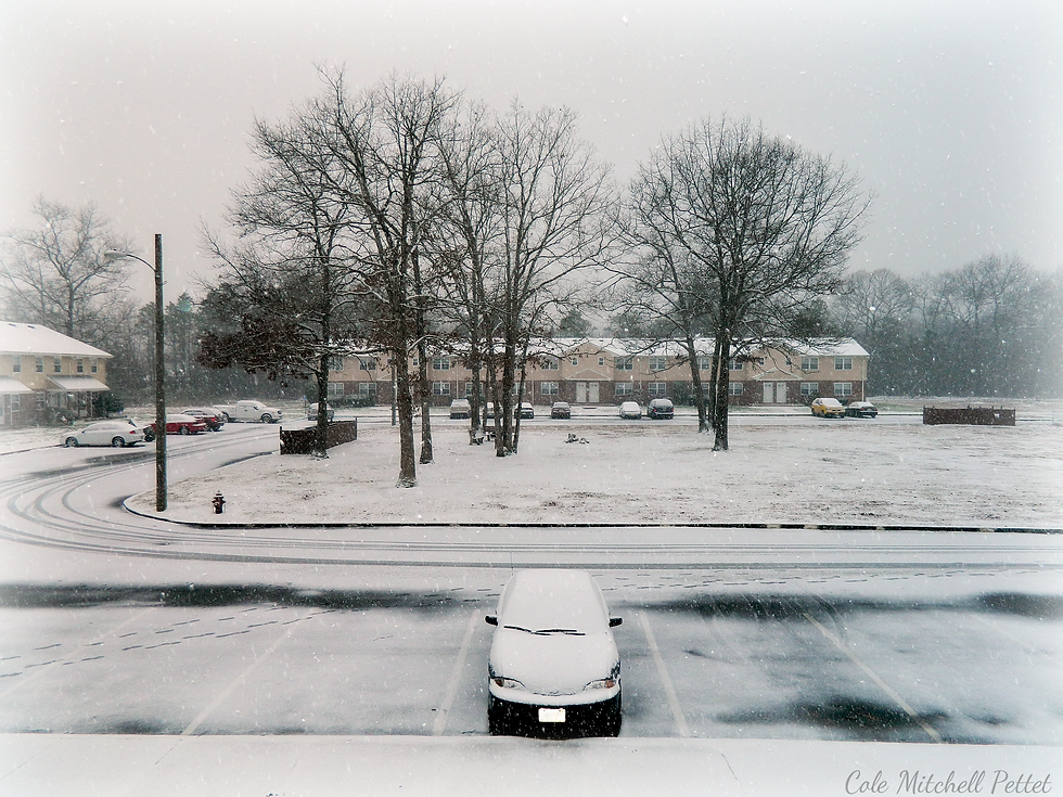 First snow fall of  Dec 8, 2013