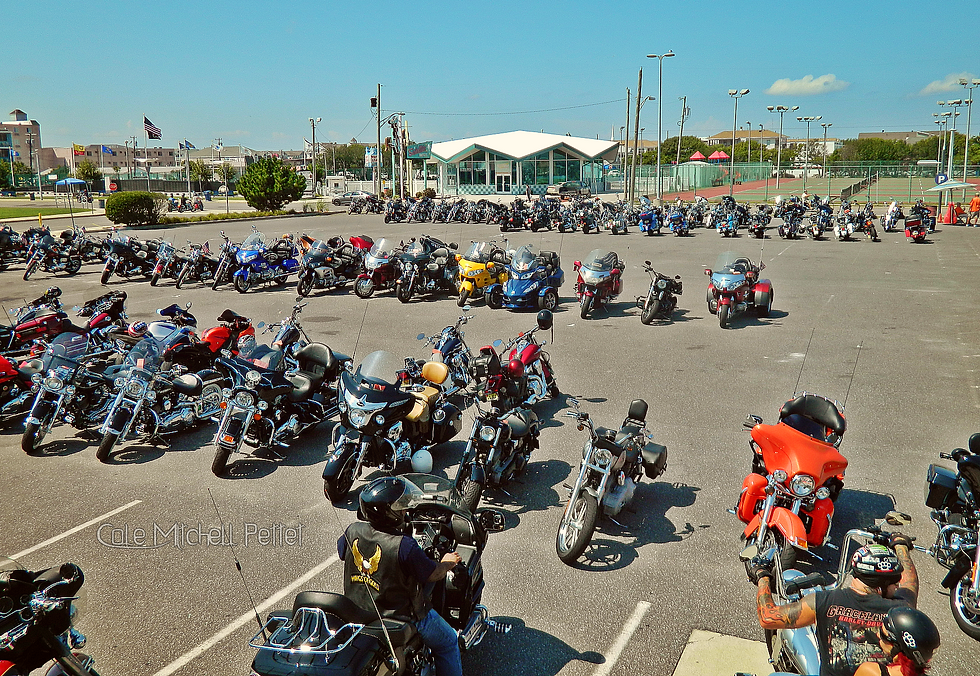 Roar to the shore 2014