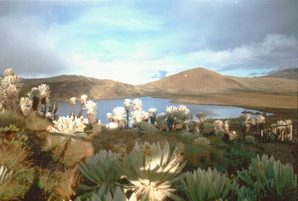 Laguna de El Voladero