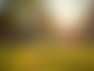 Why Reforming Facility Assessments Matters for Our Community