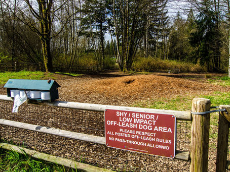 The 5 Best Dog Parks Near Mill Creek, Washington