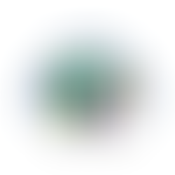 GVA is Seeking a 2nd Grade and 3rd/4th Grade French Immersion Teacher 