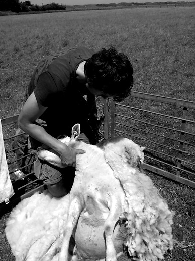 550b6927-e824-4b2e-83d9-93c7f49adf4b_edi