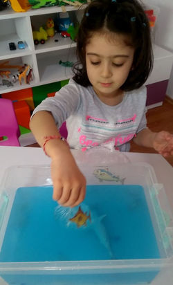 Özel Beyaz İnci Anaokulu - Bursa