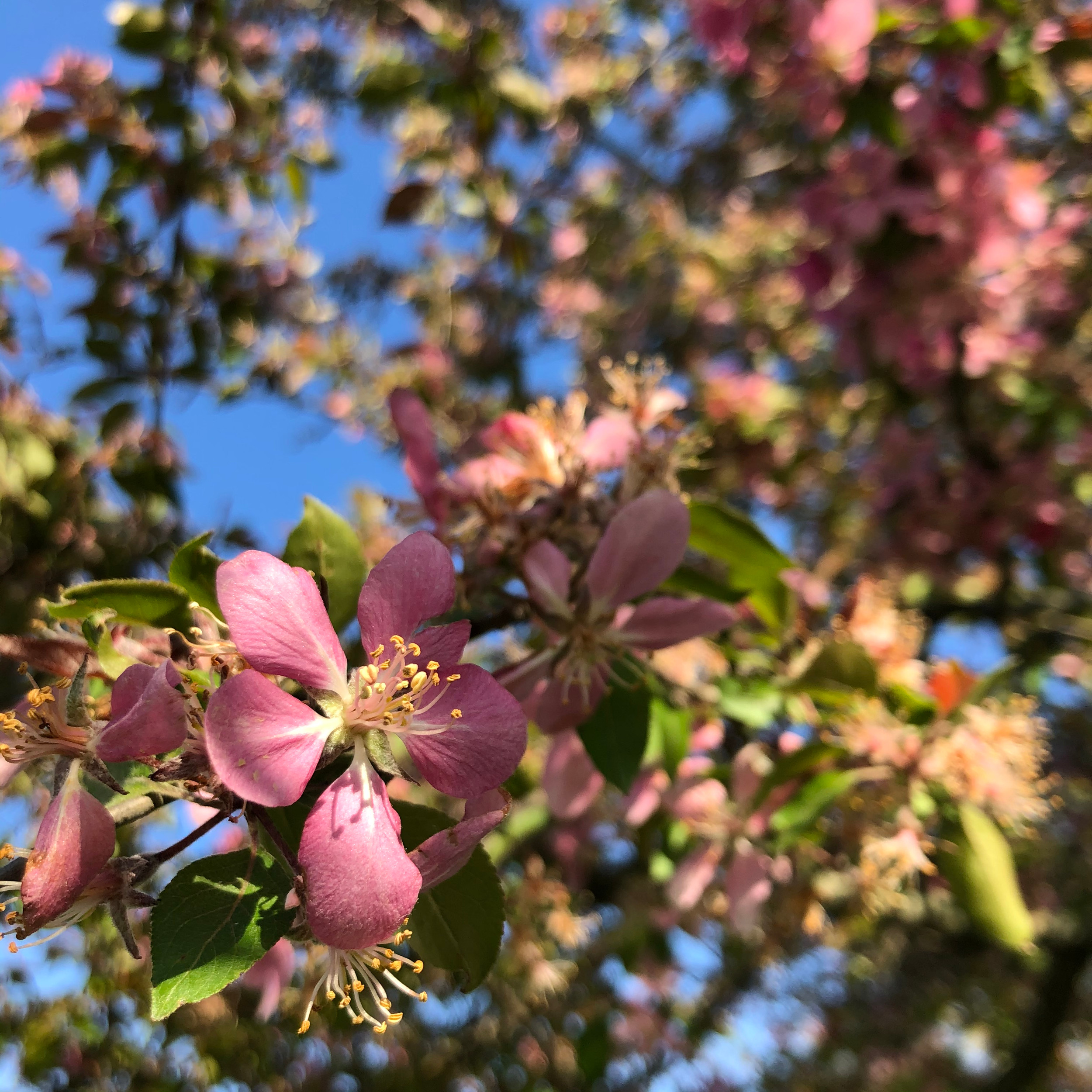 reduce-reuse-recycle-columbus