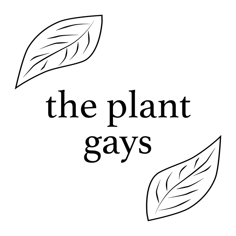 The Plant Gays logo. Name with two leaves on either side.