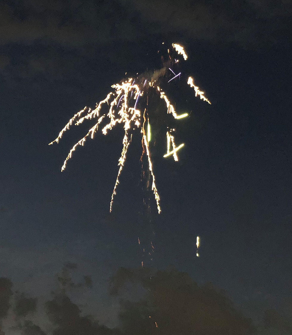 white firework exploding in a sky at dusk