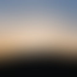 NewAlbum「PROCESSION - MUSIC FOR ZUNCHACHA -」リリース