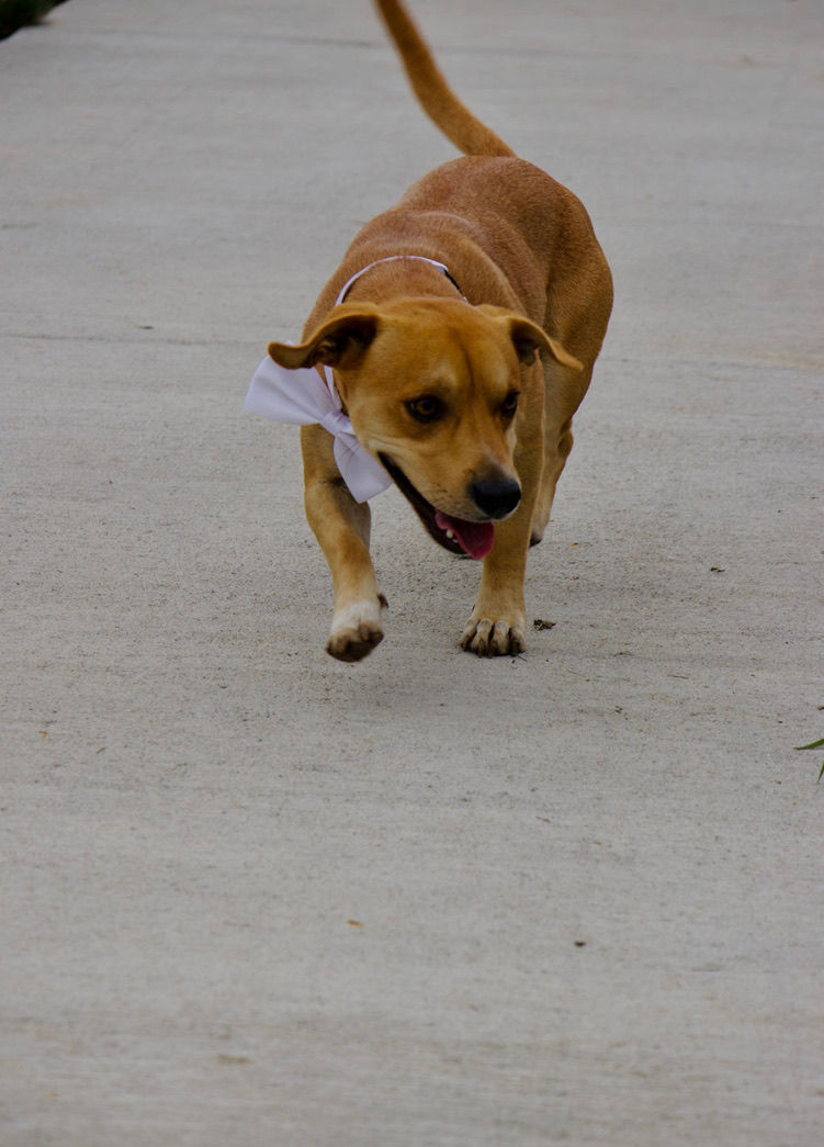 wedding venues near me. wedding venues iowa. iowa wedding venues. wedding venues knoxville iowa. barn wedding venues iowa. wedding venue in iowa. iowa barn wedding venue. wedding reception iowa. best wedding venues in iowa. Wedding venues. Cheap wedding venues Des Moines. Receptions near me. Knoxville wedding. Small wedding venues in Iowa. Knoxville wedding venue. Central Iowa wedding venue. Des Moines wedding venue. Central Iowa wedding venue. Event space. Graduation party. Party space