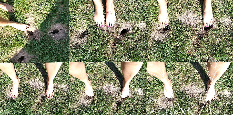 pies - tierra_edited.jpg