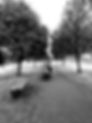 IMG-20201008-WA0000.jpg