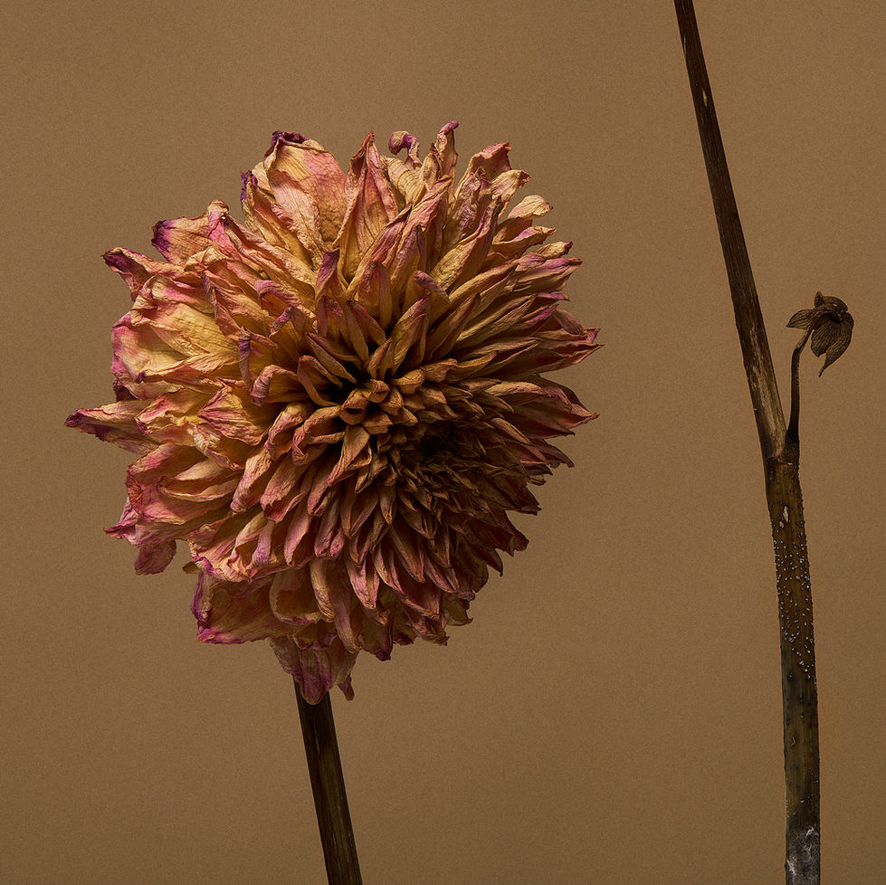 Shot_4