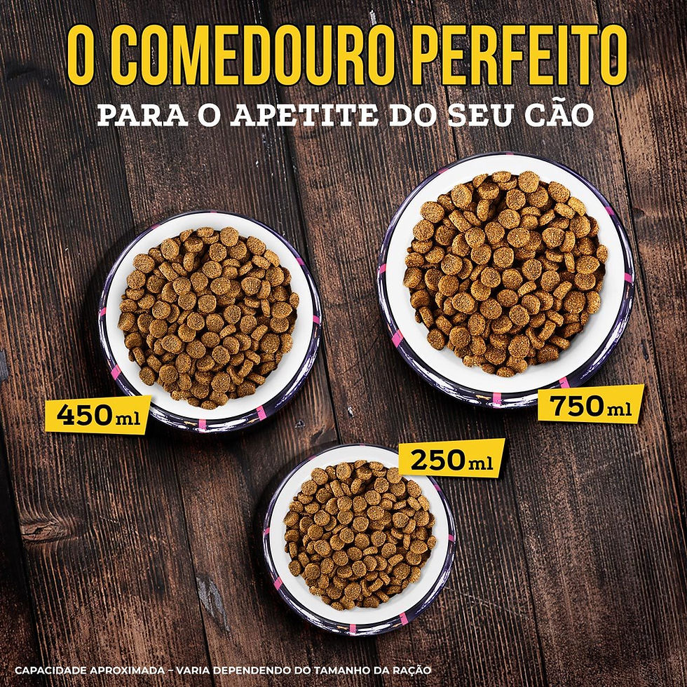 Miniatura: Comedouro Melamina Snoopy