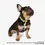 Miniatura: Coleira esportiva impermeável Poly-Flex para cães - Neon Geen