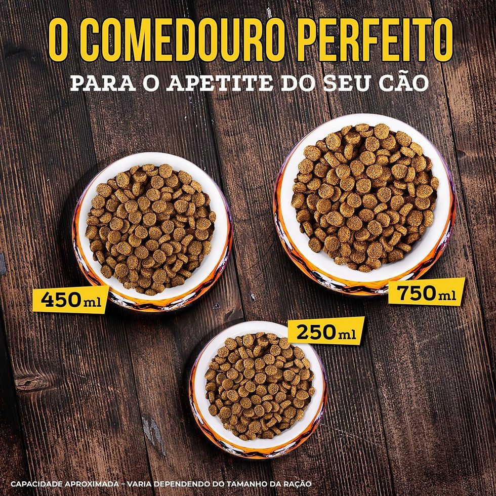 Miniatura: Comedouro Melamina Snoppy CHARLE