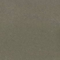 Mocha-Grey.jpg