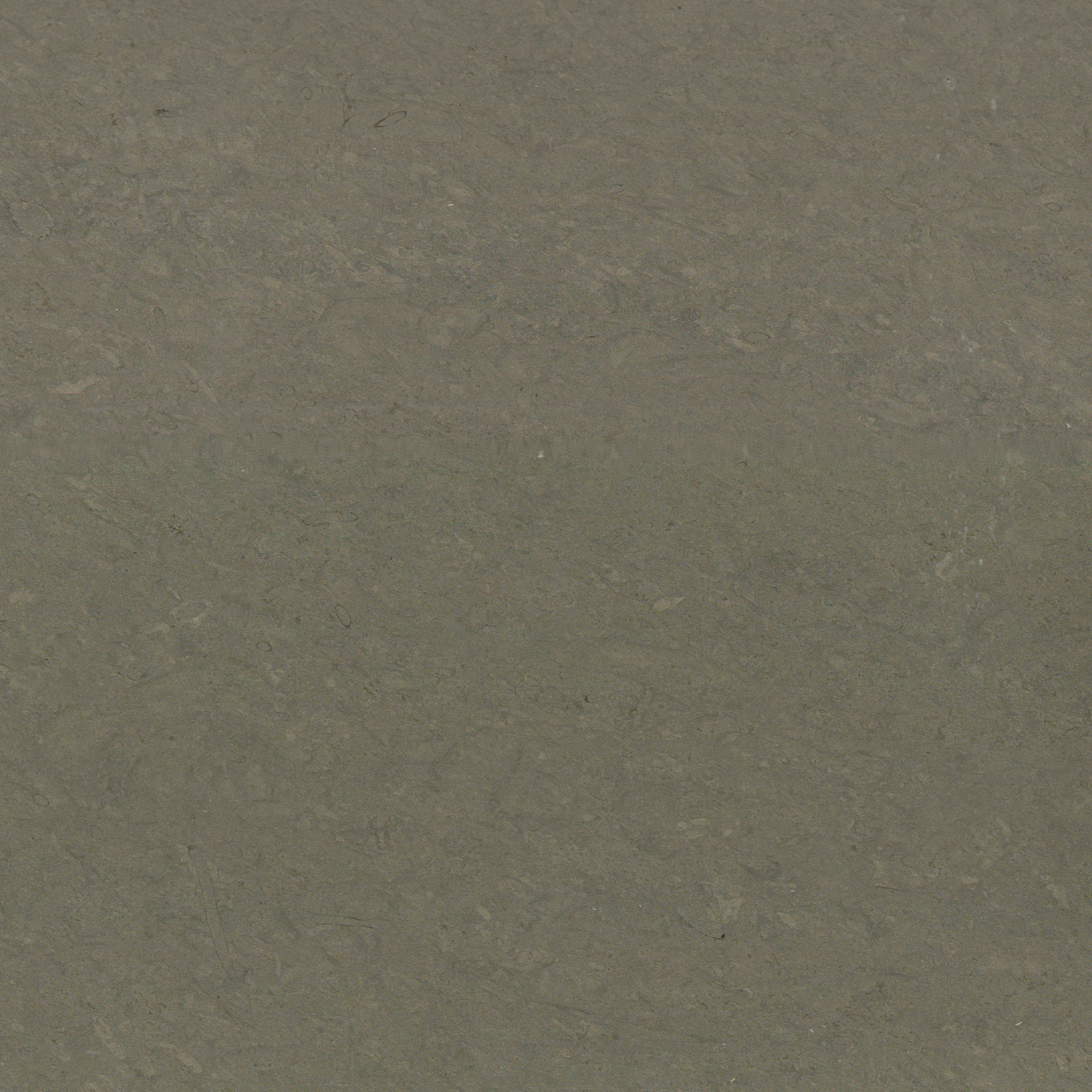 Blue Bat Limestone