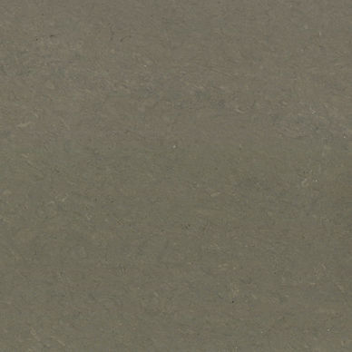 Mocha-Grey.jpg
