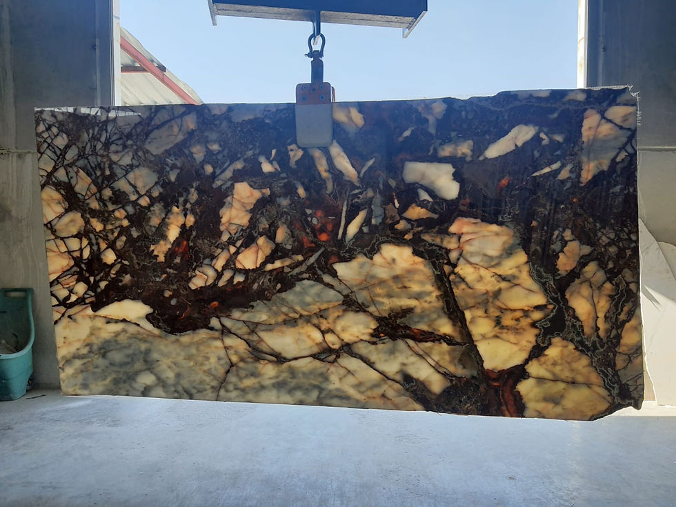 Thumbnail: Patagonia Rose