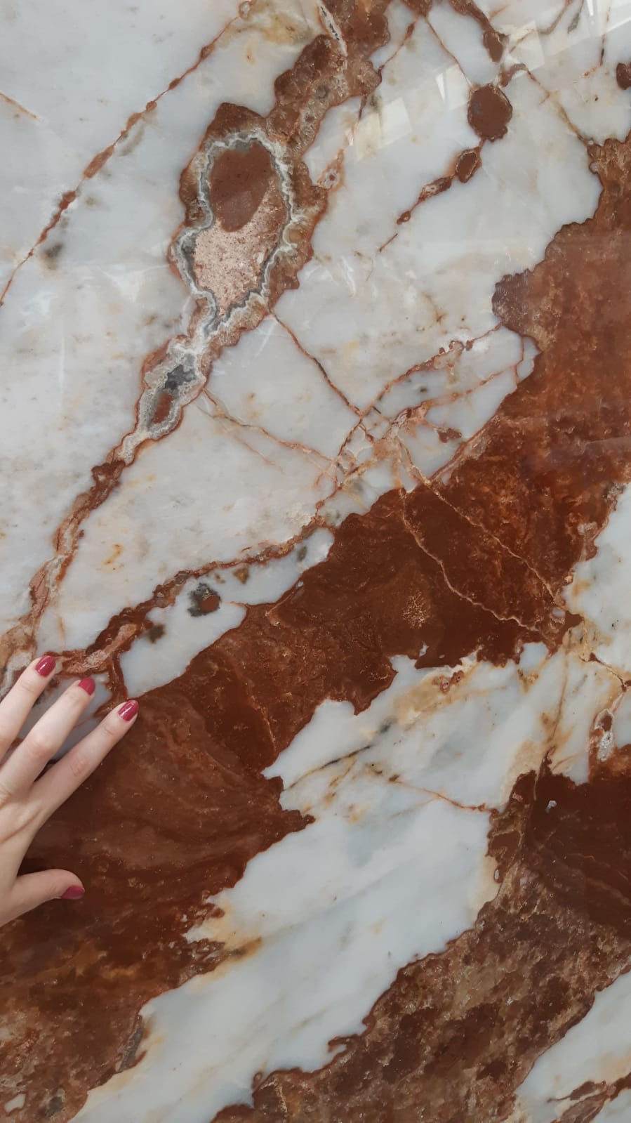 Thumbnail: Patagonia Rose